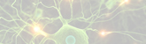 Parkinson Parkinson