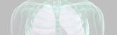 Respiratoria Respiratoria