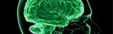 Alzheimer Alzheimer